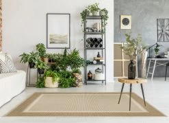 Brücken Und Teppich Für Drinnen Und Draußen