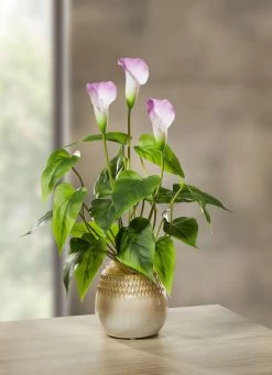 Galla-Gesteck Im Keramiktopf