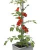 Gusta Garden Tom Tomato Mit Bewässerungssystem -Deko Garten Verkauf gusta garden tom tomato mit bewaesserungssystem farbe grau
