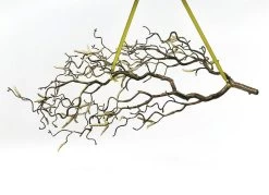 Haselnusszweig Aus Hochwertigem Kunstmaterial