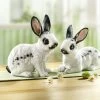 Hasen Aus Polyresin, 2er-Set -Deko Garten Verkauf hasen aus polyresin 2er set farbe schwarz weiss
