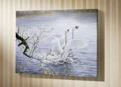 Hochwertiges Bild Mit Zertifikat