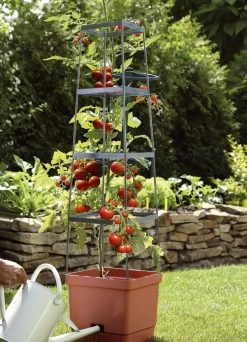 MAXITOM Tomaten-Rankhilfe Komplett-Set 7 MAXITOM Tomaten-Rankhilfe Komplett-Set -Deko Garten Verkauf maxitom tomaten rankhilfe komplett set farbe terra 1