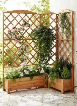 Pflanz-Spalier Aus Imprägniertem Kiefernholz