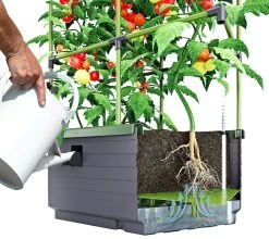 Rankkasten City Jungle -Deko Garten Verkauf rankkasten city jungle farbe anthrazit gruen 1