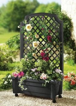 Roll-Pflanzkasten Mit Spalier -Deko Garten Verkauf roll pflanzkasten mit spalier farbe anthrazit.jpg.pagespeed.ce .Sxwznaps m