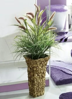 Schilfgras In Vase