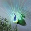 Solar-Wandleuchte Pfau -Deko Garten Verkauf solar wandleuchte pfau farbe bunt