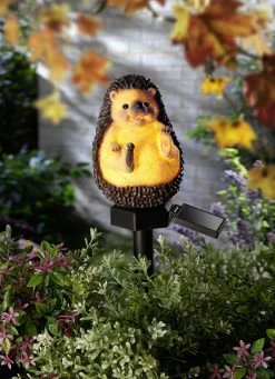 Solarleuchte Mit Warmweißer LED-Beleuchtung