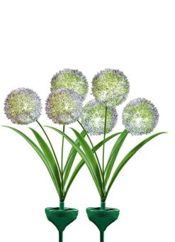 Solarleuchten, 2er-Set -Deko Garten Verkauf solarleuchten 2er set farbe gruen 1