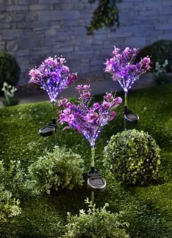 Solarstecker Heidekraut Mit Integriertem Akku