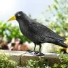 Vogelschreck-Rabe Aus Kunststoff 1 Vogelschreck-Rabe Aus Kunststoff -Deko Garten Verkauf vogelschreck rabe aus kunststoff farbe schwarz